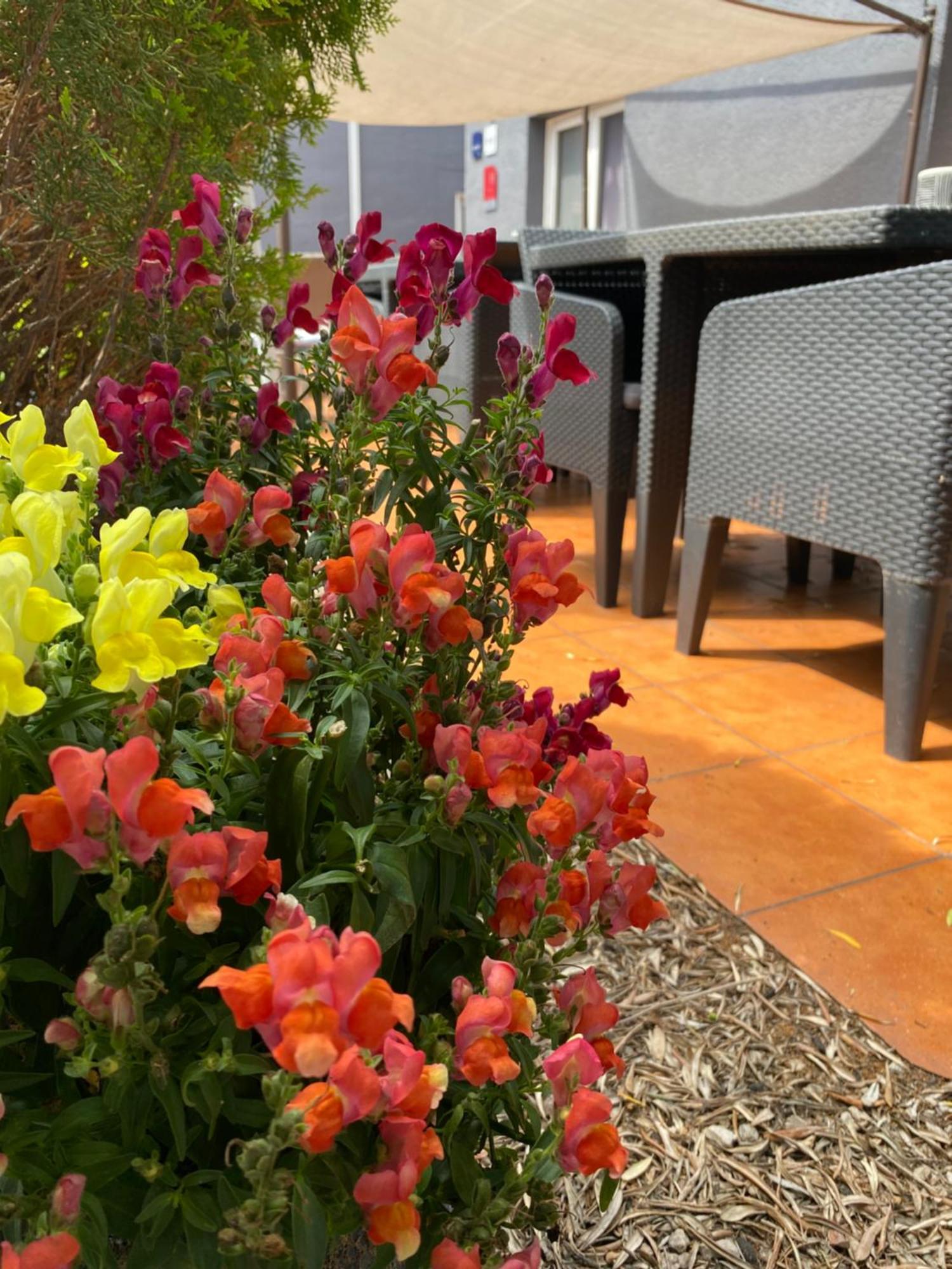Contact Hotel Le Sud Montpellier Aeroport Parc Expo Arena Могио Екстериор снимка